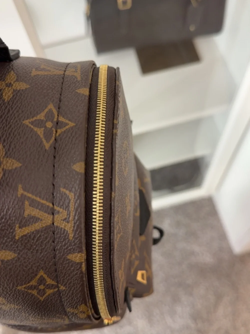 Louis Vuitton Monogram Canvas Palm Springs Mini Backpack